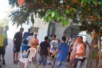  صور: غضب في مدينة اللد من اهمال البلدية في معالجة ظاهرة انتشار الأفاعي